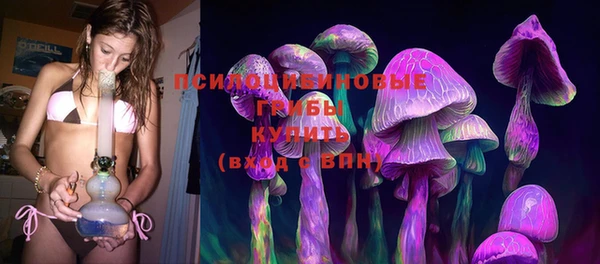 PSILOCYBIN Бугульма