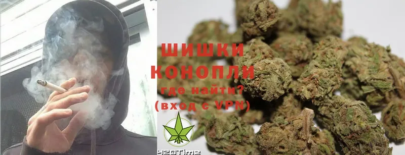 купить наркотик  Высоковск  Шишки марихуана SATIVA & INDICA 